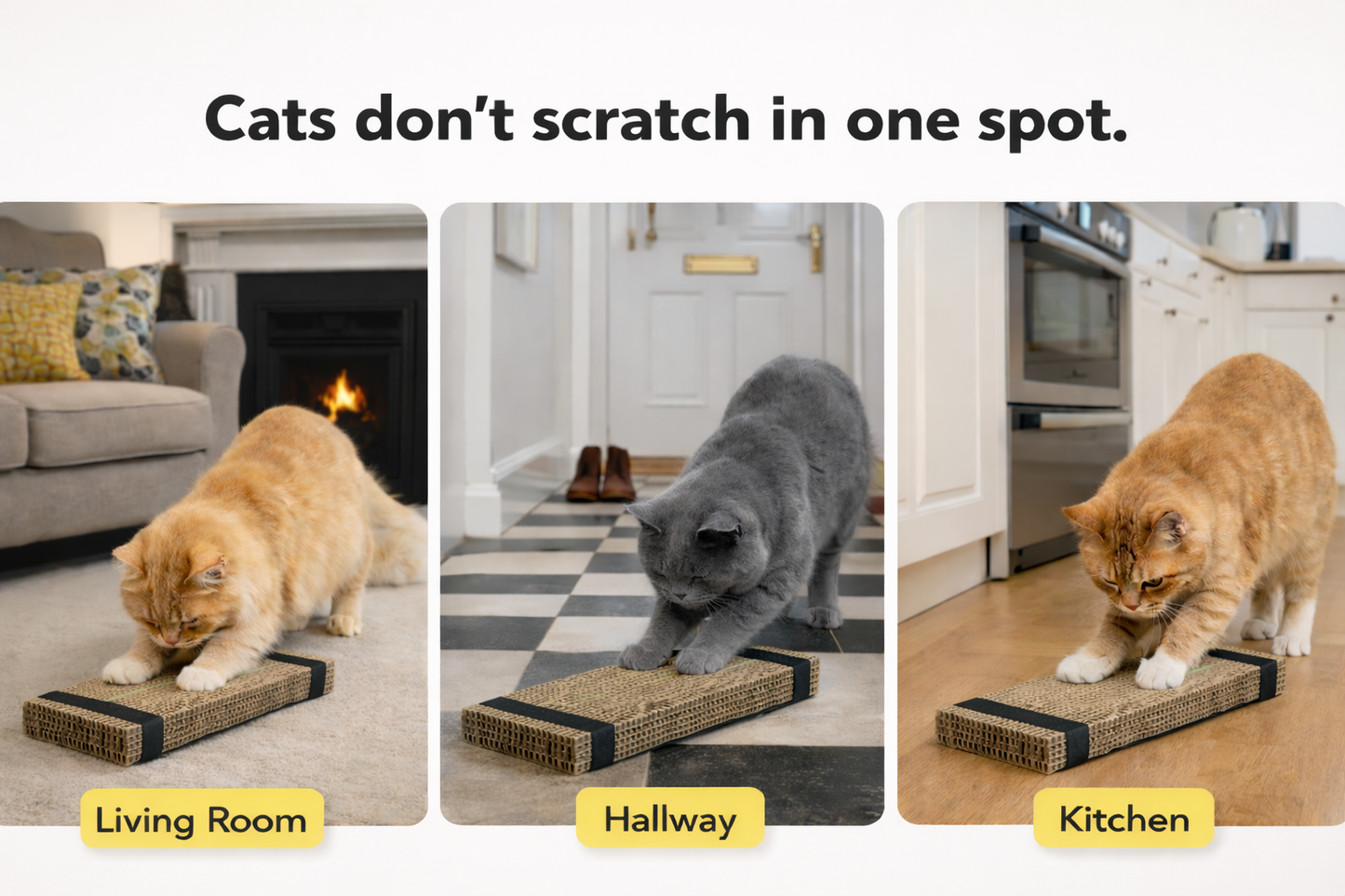 Cat Scratcher Cardboard Cutter - Mr. Scrappy | Pestfen™️