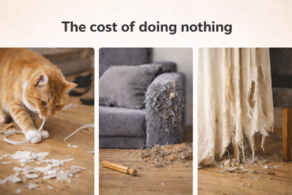 Cat Scratcher Cardboard Cutter - Mr. Scrappy | Pestfen™️