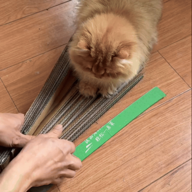 Scratcher Fixing Tape - Pestfen ™️