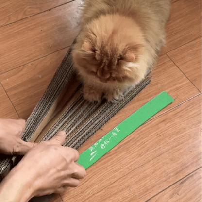 Scratcher Fixing Tape - Pestfen ™️