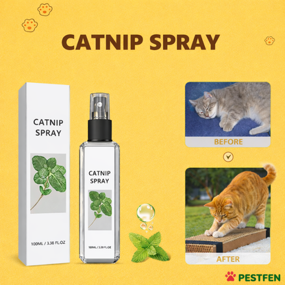 Cat Mint Scratcher Training Spray - Pestfen ™️