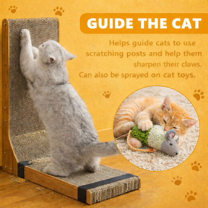 Cat Mint Scratcher Training Spray - Pestfen ™️