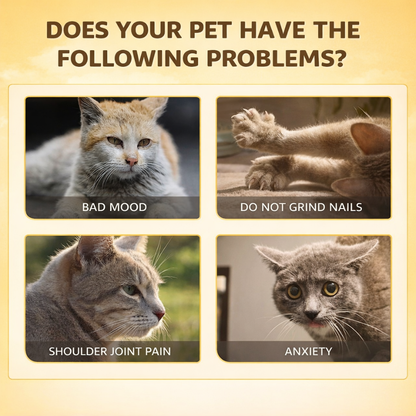 Cat Mint Scratcher Training Spray - Pestfen ™️