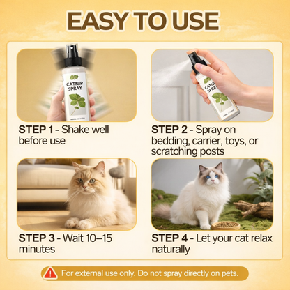 Cat Mint Scratcher Training Spray - Pestfen ™️