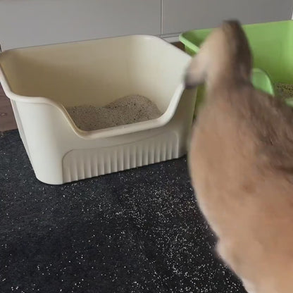 Double Layer Non-Slip Cat Litter Mat